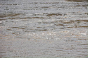 aqphoto6.JPG