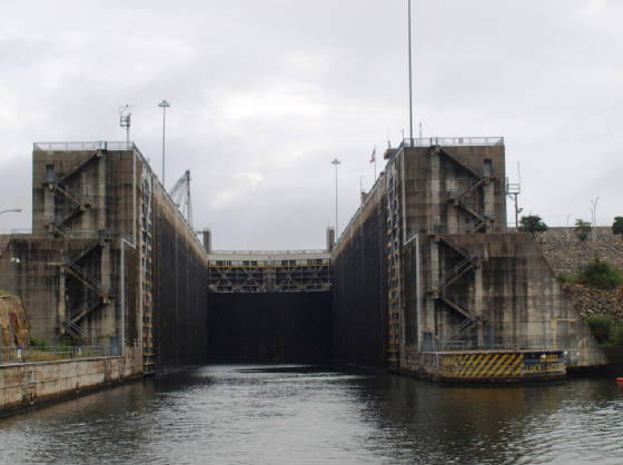 Fishing guide calls for protection of pelicans near Lockport dam